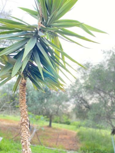 Apartamento Endless Green: Feel Free And Cozy In Nature