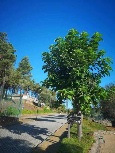 Parque De Campismo Da Barragem Do Vilar