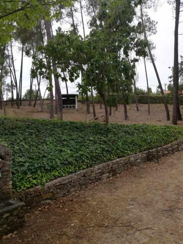 Parque De Campismo Da Barragem Do Vilar