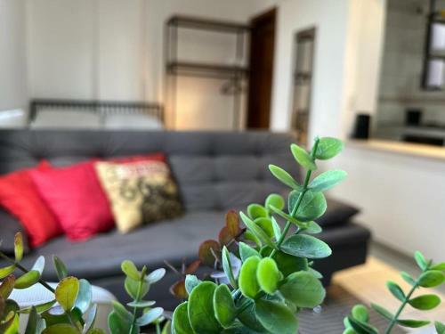 Apartamento Studio Maria Zil�h 2 Master Collection