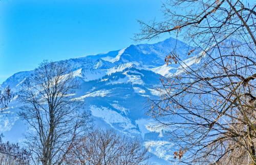 Chalet Cara By Alpen Apartments