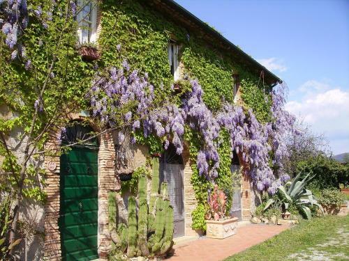 Agroturismo Agriturismo La Leccia