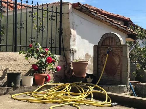 Authentic House Stratoni Chalkidiki Greece 6p Seaview