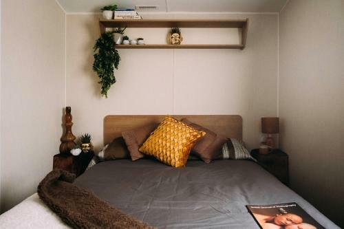 Vale Lodge - A Family-friendly, Elegant And Spacious Motorhome