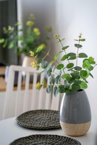 Apartament Willa Lniana