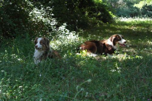 Agroturismo Agridomus Il Mulino