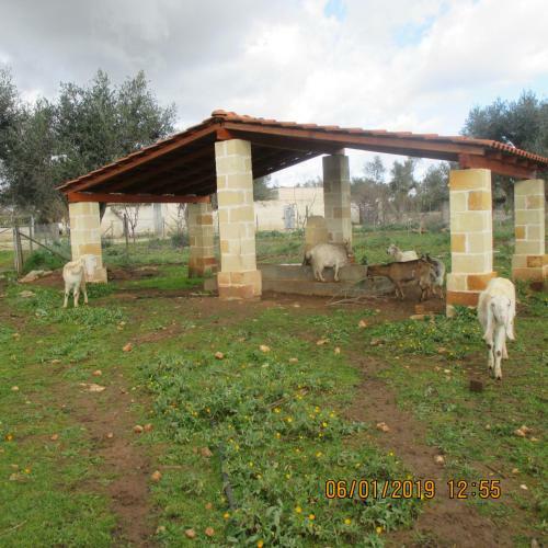 Villa Masseria San Vito