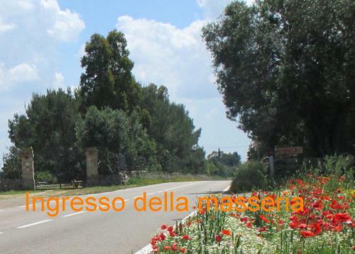 Villa Masseria San Vito