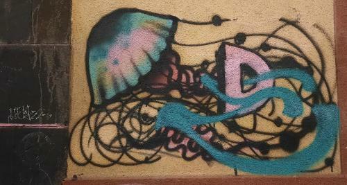 Entre Pinos Y Medusas