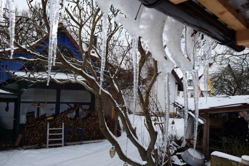Apartamento Altes Sch�ferhaus