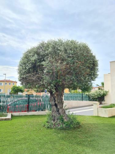 305 Villa De Standing Avec Piscine