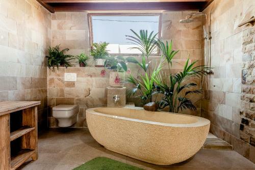 Luxury Wild Jungle Eco Villa Next To Cotillo