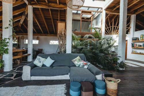 Luxury Wild Jungle Eco Villa Next To Cotillo