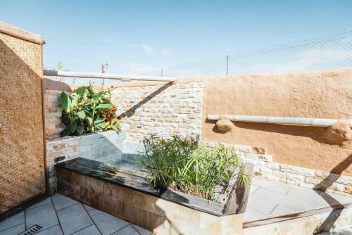 Luxury Wild Jungle Eco Villa Next To Cotillo