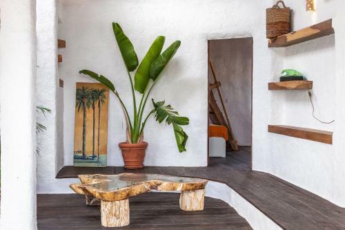 Luxury Wild Jungle Eco Villa Next To Cotillo