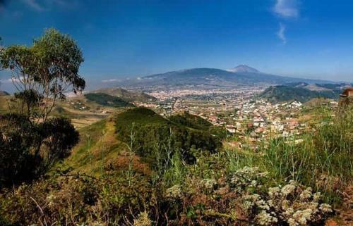 Town House San Crist�bal De La Laguna