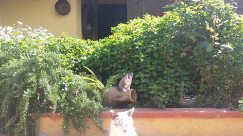 B&B Dal Pozzo