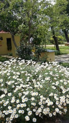 B&B Dal Pozzo