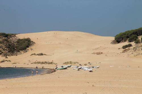 Apartamento Playa Bolonia