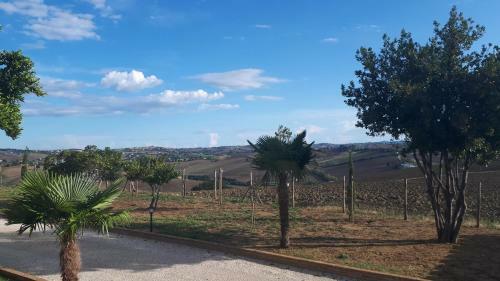 B&B I Pini Di Storaco