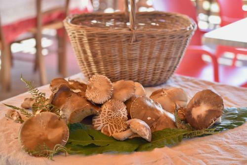 Agriturismo La Taverna