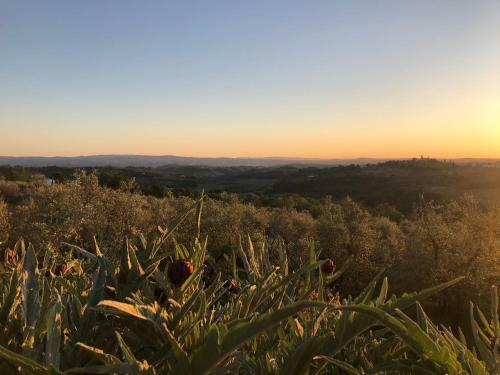 Agroturismo Podere Casato