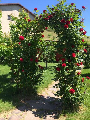 Hostal Residence Delle Rose