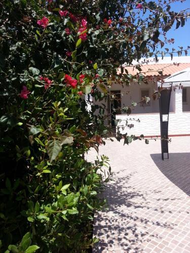 Apartamento Residence Agave Lampedusa
