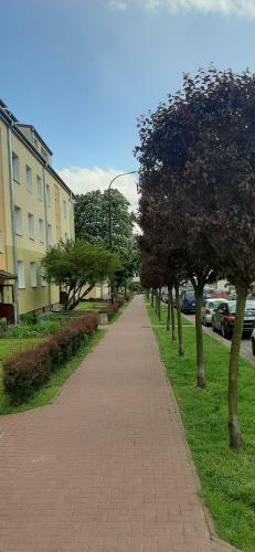 Mieszkanie Apartament ?widnik