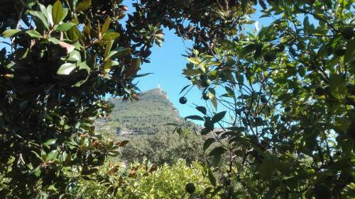 Hotel Villa Degli Aranci