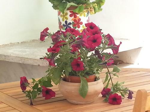 Apartamento Il Giardino Del Purgatorio