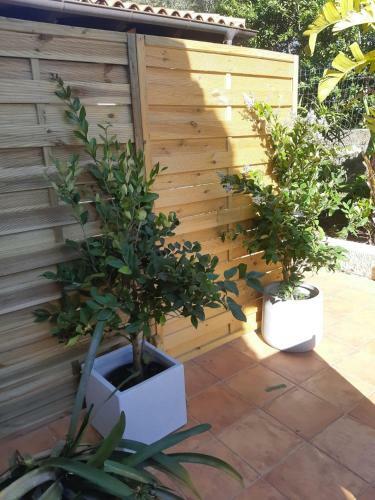 Casa Vacanze Loft Dal Picciotto
