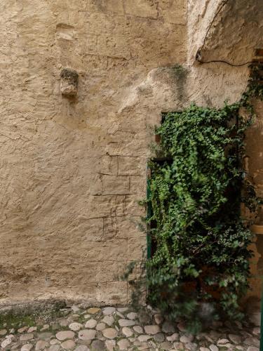 Bed & Breakfast San Giovanni Vecchio - Residenza