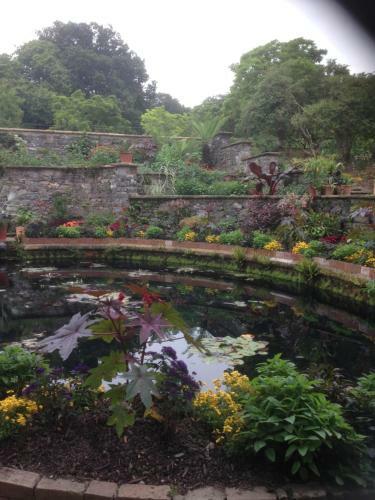 Hostal Clifton Villa Guest House