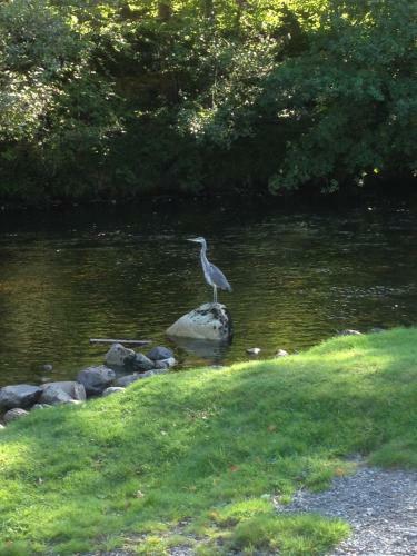 Hostal Clifton Villa Guest House