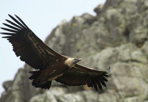 Agroturismo Posada De Amonaria
