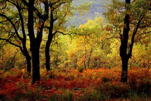 Agroturismo Posada De Amonaria