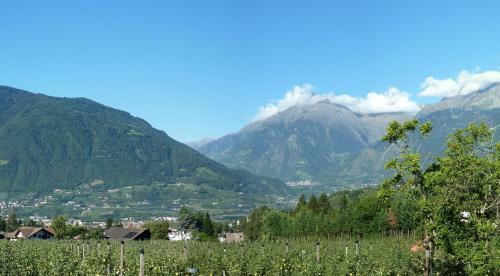 Hotel Pension Verdorfer