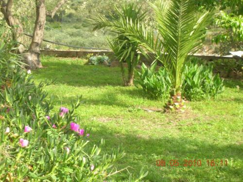 Hostal Affittacamere Munduge