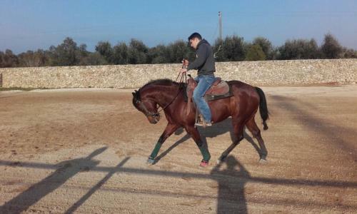 Agroturismo Masseria Suc�a
