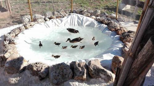Agroturismo Masseria Suc�a