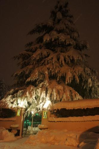 Park Hotel Villa Salzea