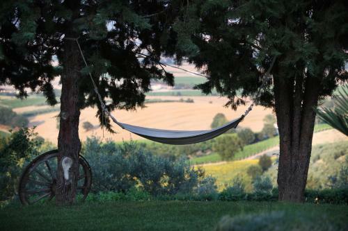 Agroturismo Agriturismo Il Girasole