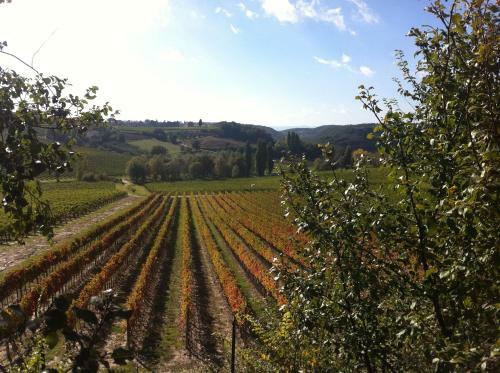 Agroturismo Relais Ortaglia