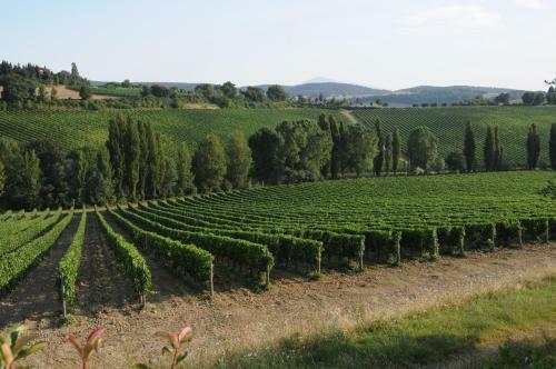 Agroturismo Relais Ortaglia