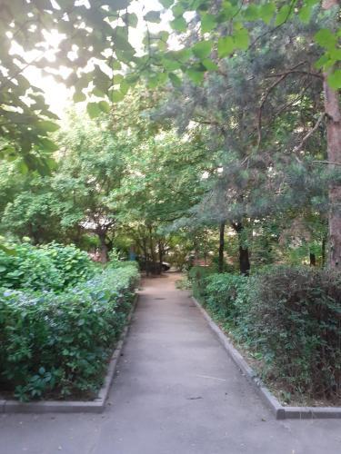 Apartamento 3- ????????? ???????? ? ?????? ??????