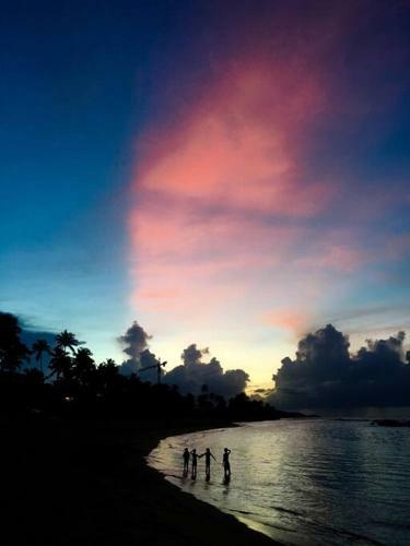 Villa Vila Ide�l, Ocean View Beachfront Community W/pool