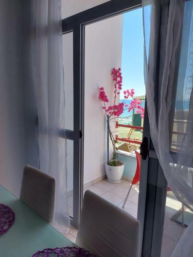 Sun And Sea ~ Seaview Apartments