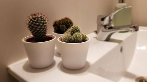 Apartamento Bnb Antwerpen - Charmant