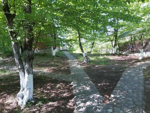 Albergue Motel Alfa-m